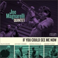 JOE MAGNARELLI - If You Could See Me Now cover 