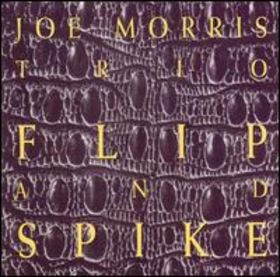 JOE MORRIS - Flip and Spike cover 
