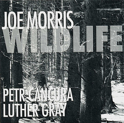 JOE MORRIS - Wildlife cover 
