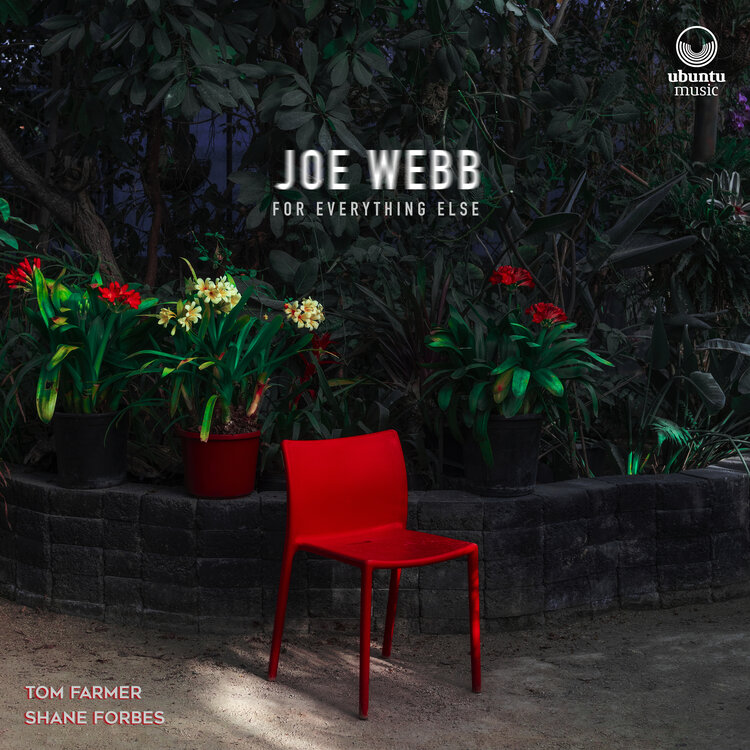 JOE WEBB - For Everything Else cover 
