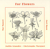JOËLLE LÉANDRE - For Flowers (with Mat Maneri / Christophe Marguet / Joel Ryan) cover 