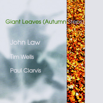 JOHN LAW (PIANO) - Giant Leaves (Autumn Steps) cover 