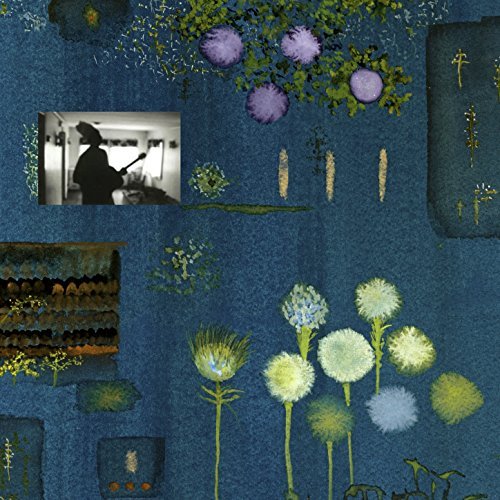 JOHN LURIE - Marvin Pontiac : The Asylum Tapes cover 