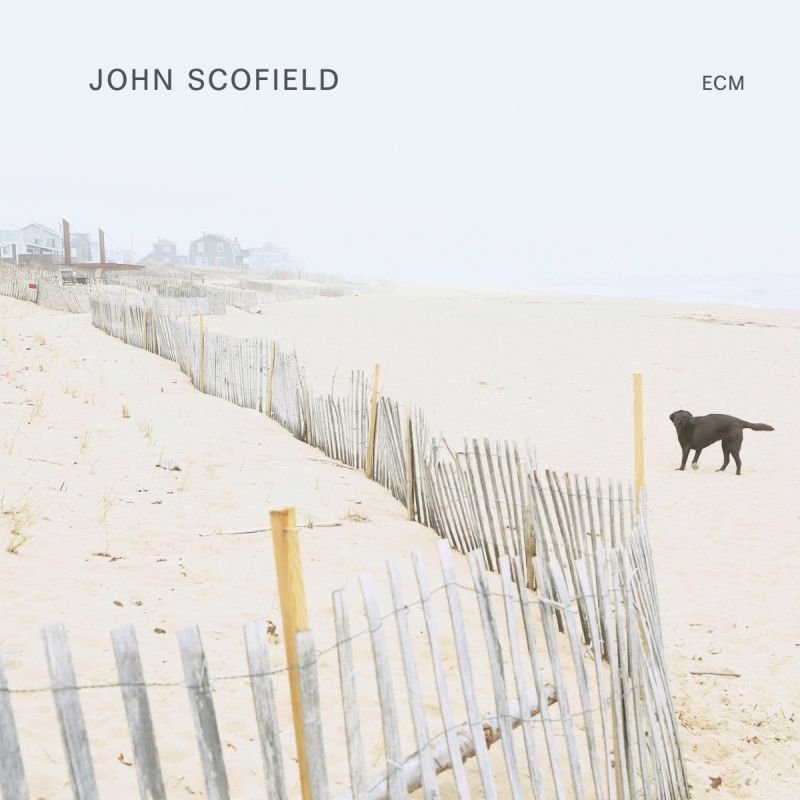 JOHN SCOFIELD - John Scofield cover 