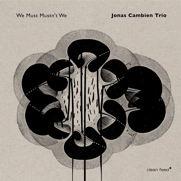 JONAS CAMBIEN - Jonas Cambien Trio : We Must Mustnt We cover 