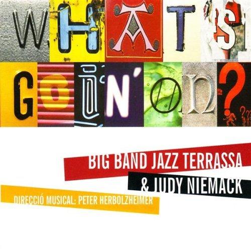 JUDY NIEMACK - What's Going On cover 