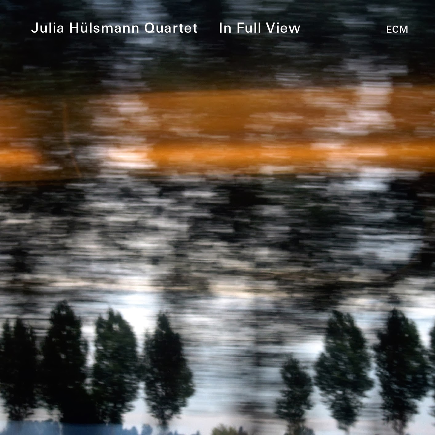 JULIA HÜLSMANN - In Full View cover 