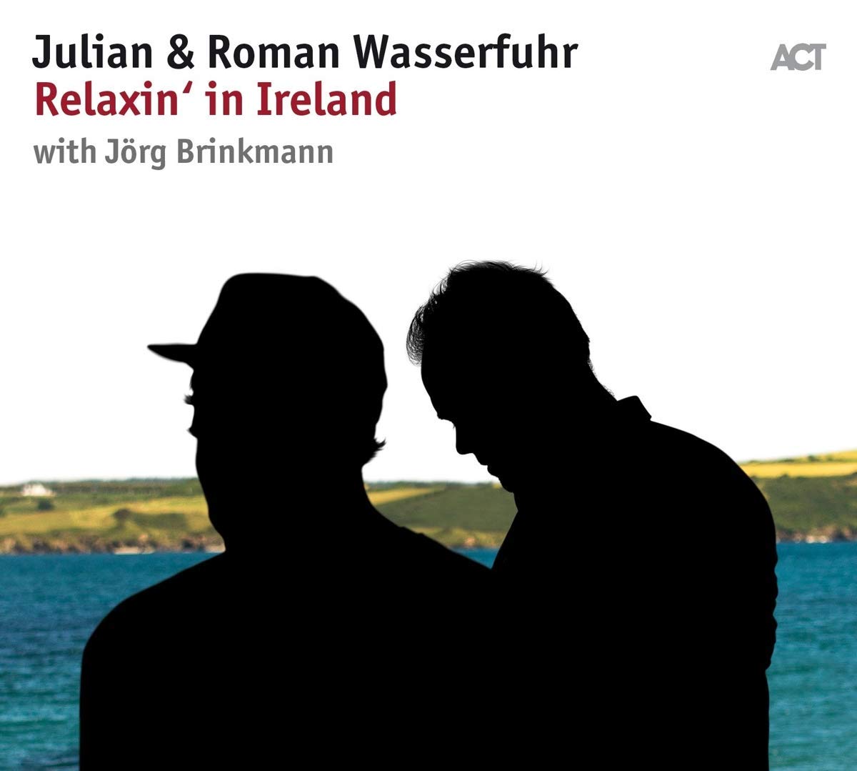 JULIAN & ROMAN WASSERFUHR - Relaxin' in Ireland cover 