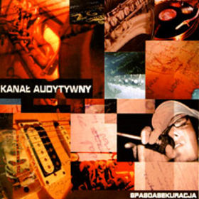 KANAŁ AUDYTYWNY - Spasoasekuracja cover 