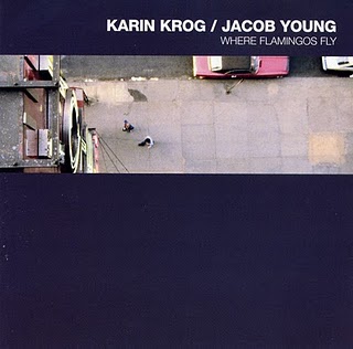 KARIN KROG - Where Flamingos Fly (with  Jacob Young) cover 