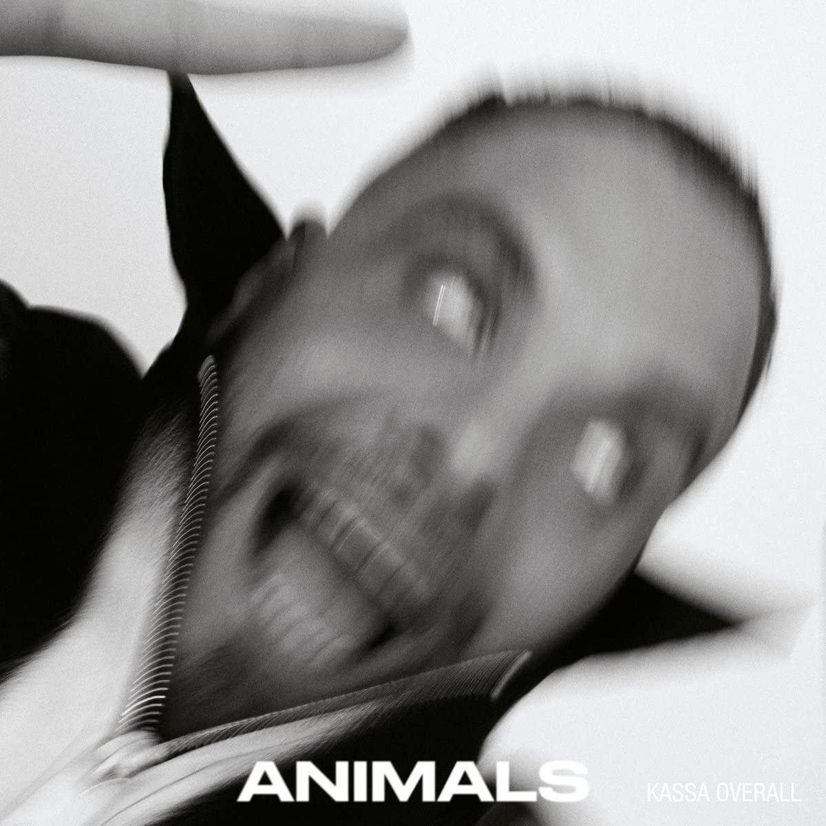 KASSA OVERALL - Animals cover 