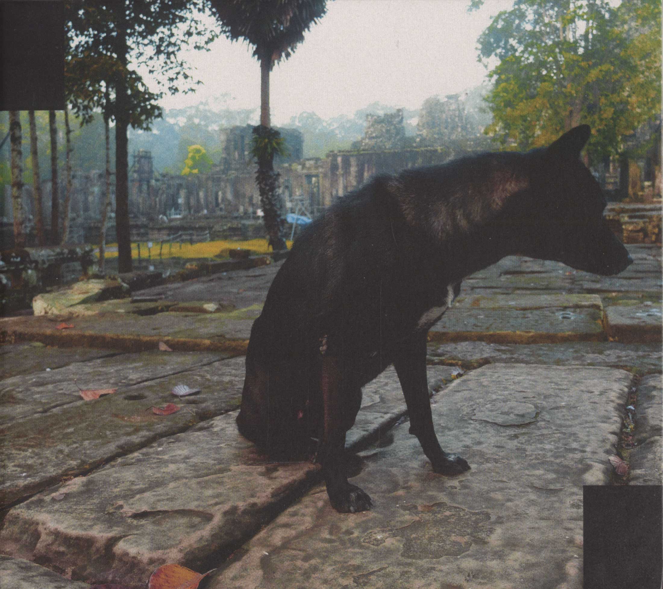 KEIJI HAINO - Keiji Haino / Jim O'Rourke / Oren Ambarchi ‎ : Only Wanting To Melt Beautifully Away Is It A Lack Of Contentment That Stirs Aff cover 