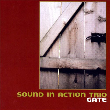KEN VANDERMARK - Gate (as Sound in Action Trio) cover 