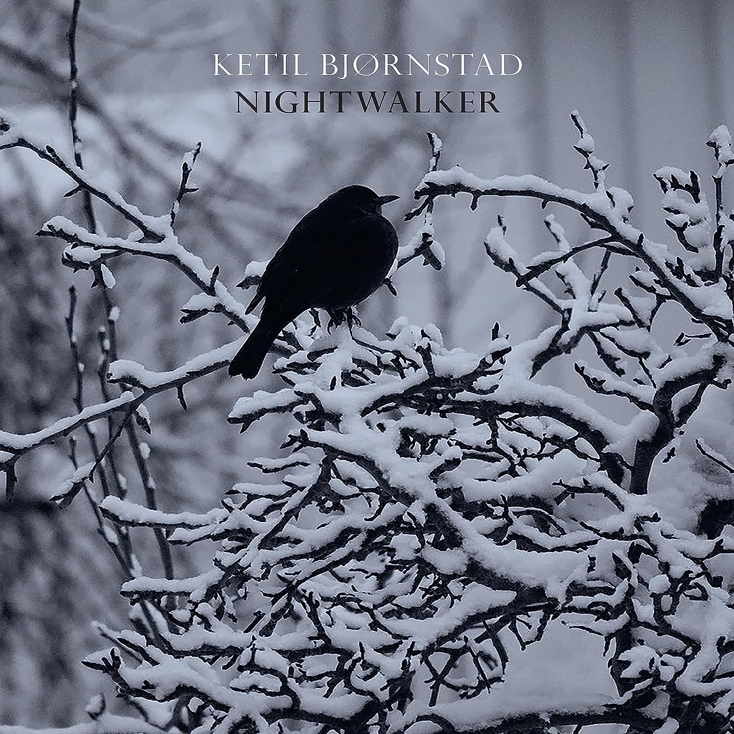 KETIL BJØRNSTAD - Nightwalker cover 