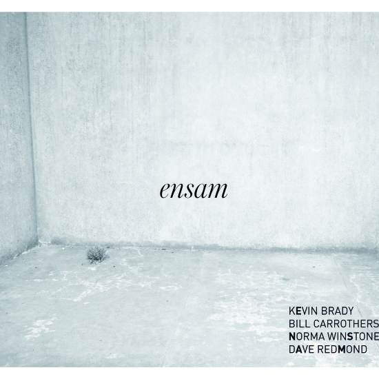 KEVIN BRADY - Ensam cover 