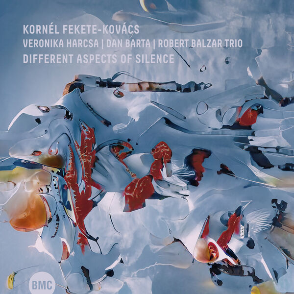 KORNÉL FEKETE-KOVÁCS - Kornél Fekete Kovács / Veronika Harcsa : Different Aspects of Silence cover 