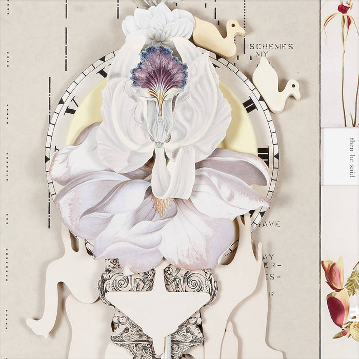 KURT ELLING - Kurt Elling, Sullivan Fortner : Wildflowers Vol. 1 cover 