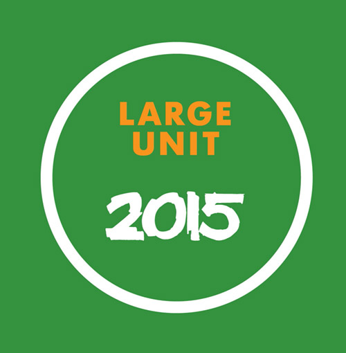 LARGE UNIT - 2015 cover 