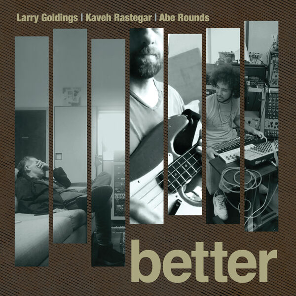 LARRY GOLDINGS - Larry Goldings - Kaveh Rastegar - Abe Rounds : Better cover 