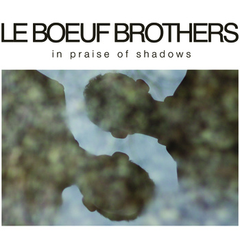 LE BOEUF BROTHERS - In Praise of Shadows cover 