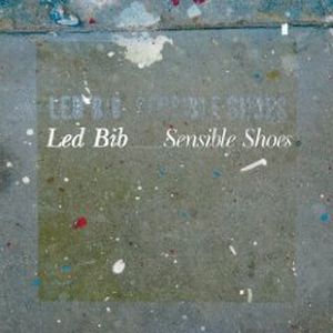 LED BIB - Sensible Shoes cover 