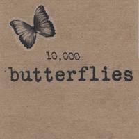 LENI STERN - 10,000 Butterflies cover 