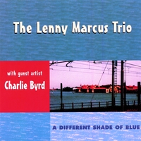 LENNY MARCUS - A Different Shade of Blue cover 