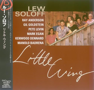 LEW SOLOFF - Little Wing cover 