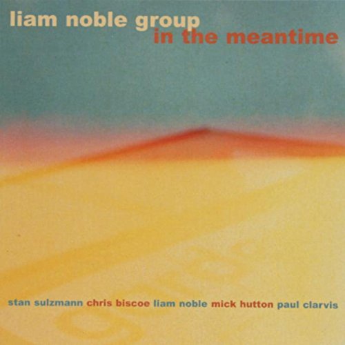 LIAM NOBLE - Liam Noble Group : In The Meantime cover 