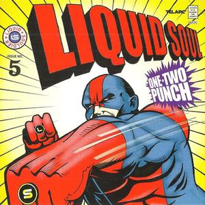 LIQUID SOUL - One-Two Punch cover 