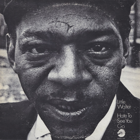 LITTLE WALTER - Hate To See You Go cover 