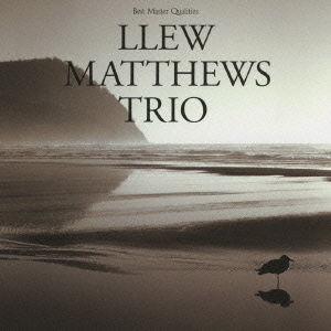 LLEW MATTHEWS - Best Master Qualities cover 