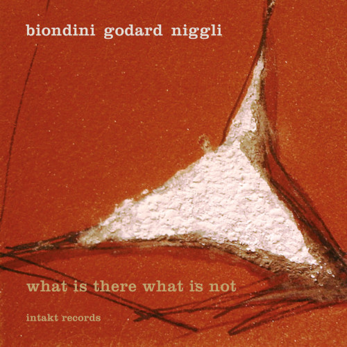LUCIANO BIONDINI - Biondini - Godard - Niggli ‎: What Is There What Is Not cover 