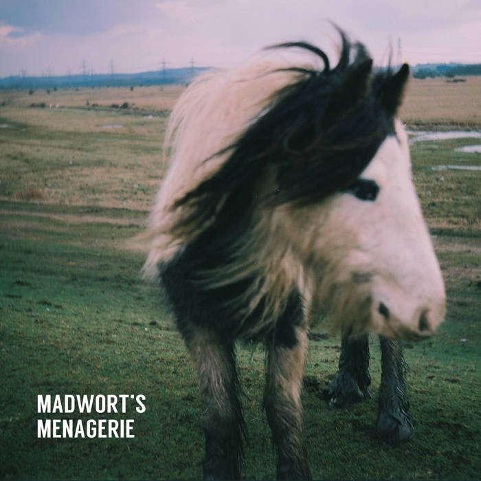 TOM WARD - Madworts Menagerie cover 