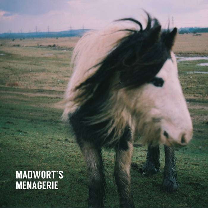 TOM WARD - Madwort's Menagerie cover 