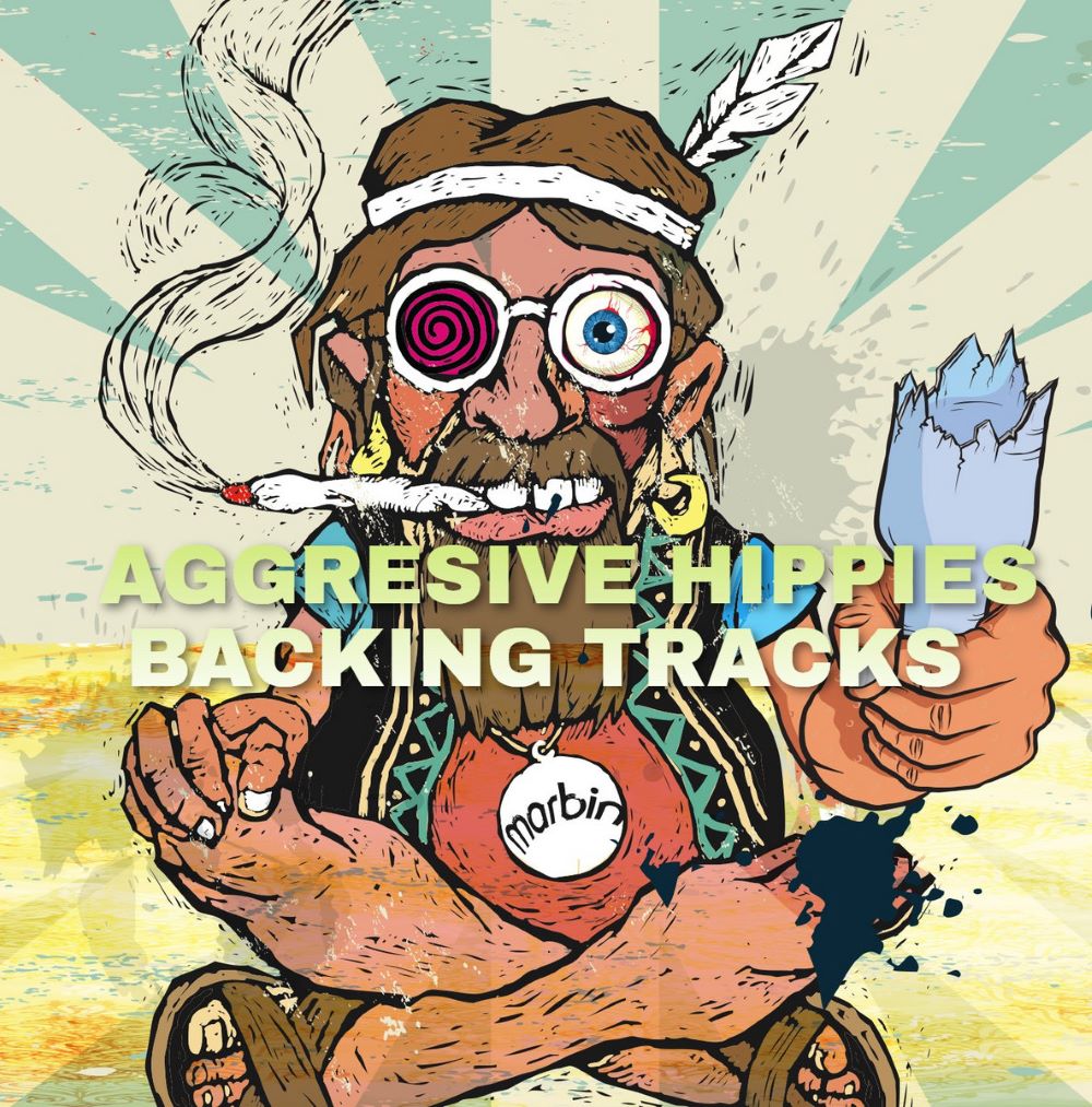 MARBIN - Aggressive Hippies (Backing Tracks) cover 