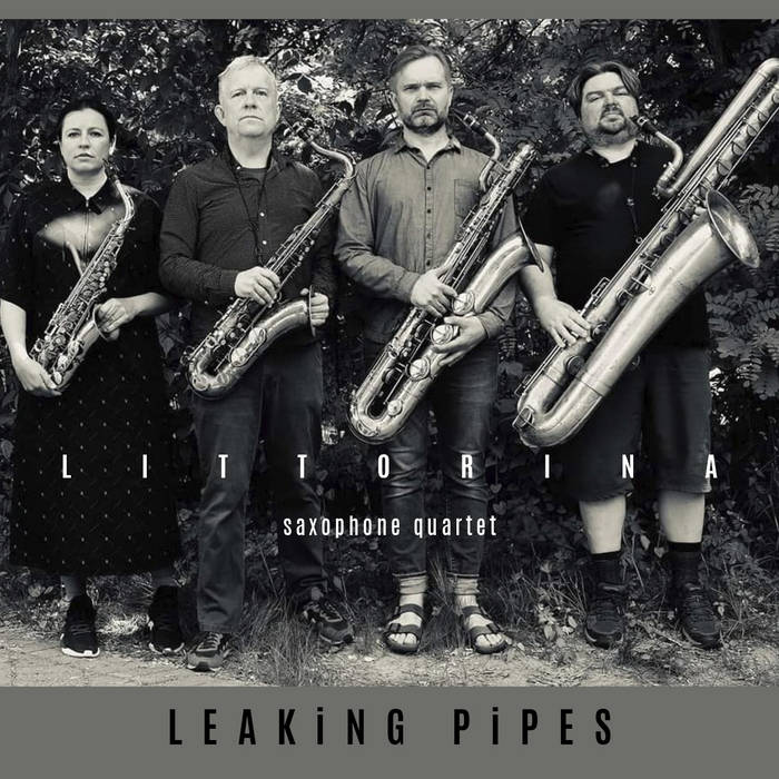 MARIA FAUST - Maria Faust / Mikko Innanen / Fredrik Ljungkvist / Liudas Mockūnas : Littorina - Leaking Pipes cover 