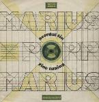 MARIUS POPP - Acordul Fin / Fine Tuning cover 