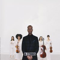 MARK GROSS - + Strings cover 