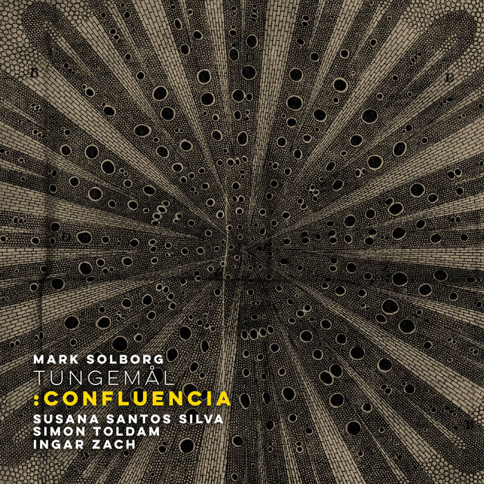 MARK SOLBORG - TUNGEML : Confluencia cover 
