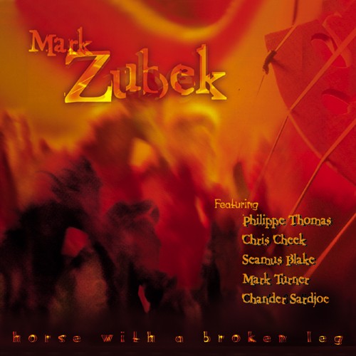 MARK ZUBEK - Horse With A Broken Leg cover 