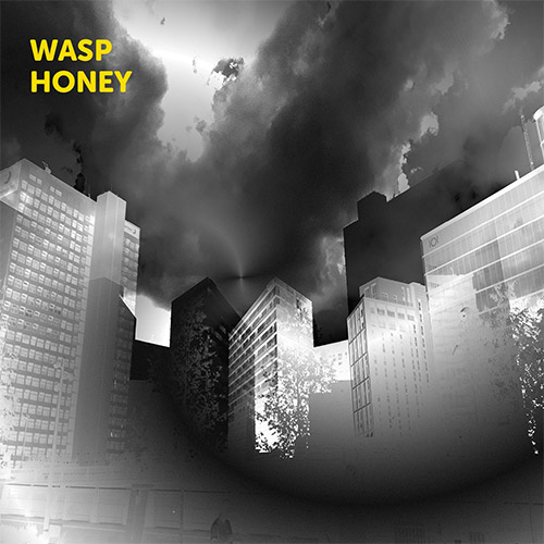 MARTIN ARCHER - Wasp Honey cover 