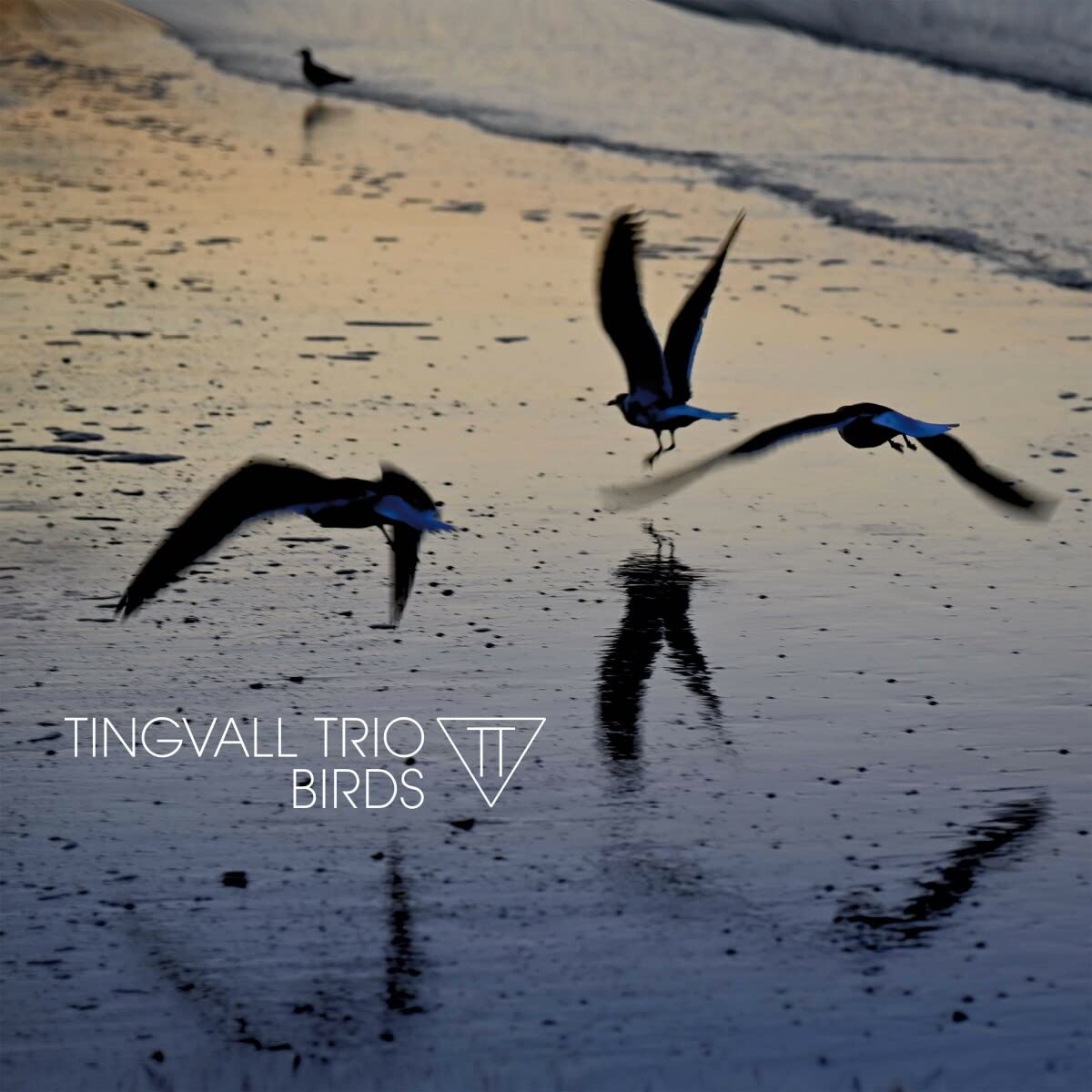 MARTIN TINGVALL - Birds cover 