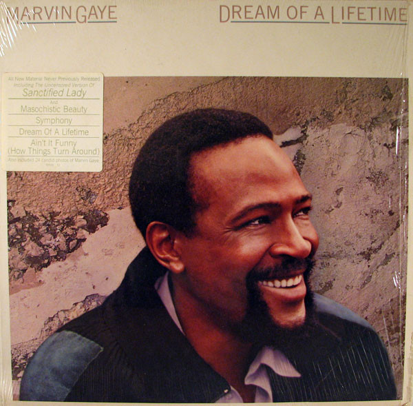 MARVIN GAYE - Dream Of A Lifetime cover 