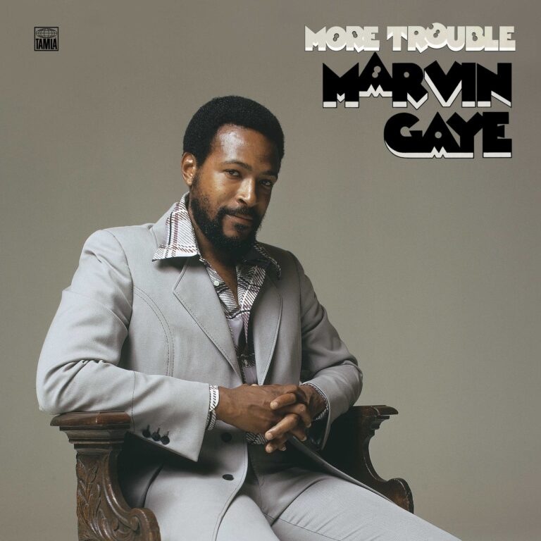 MARVIN GAYE - More Trouble cover 