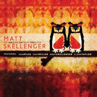 MATT SKELLENGER - The Owls Are Not What They Seem cover 