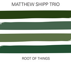 MATTHEW SHIPP - Root Of Things cover 