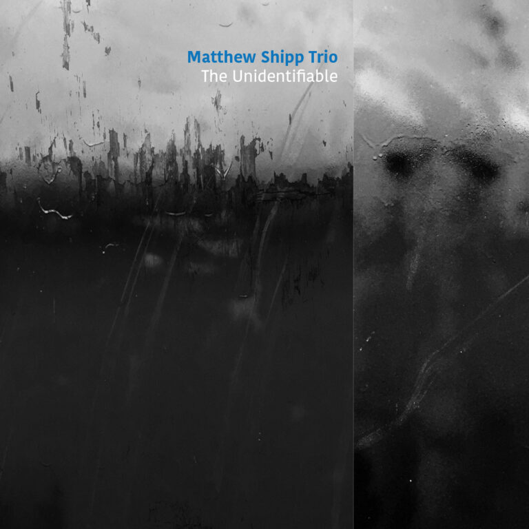 MATTHEW SHIPP - The Unidentifiable cover 