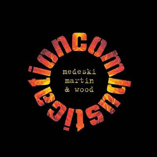 MEDESKI MARTIN AND WOOD - Combustication cover 