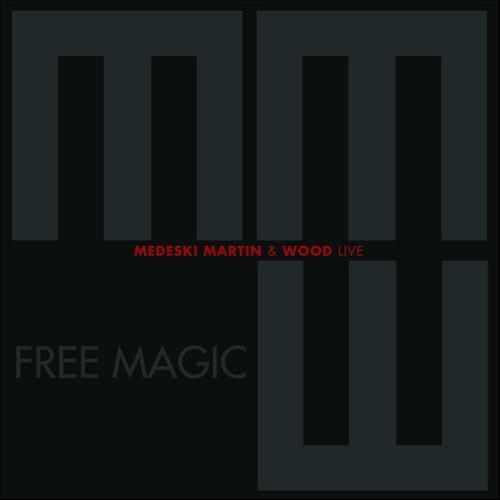 MEDESKI MARTIN AND WOOD - Free Magic cover 